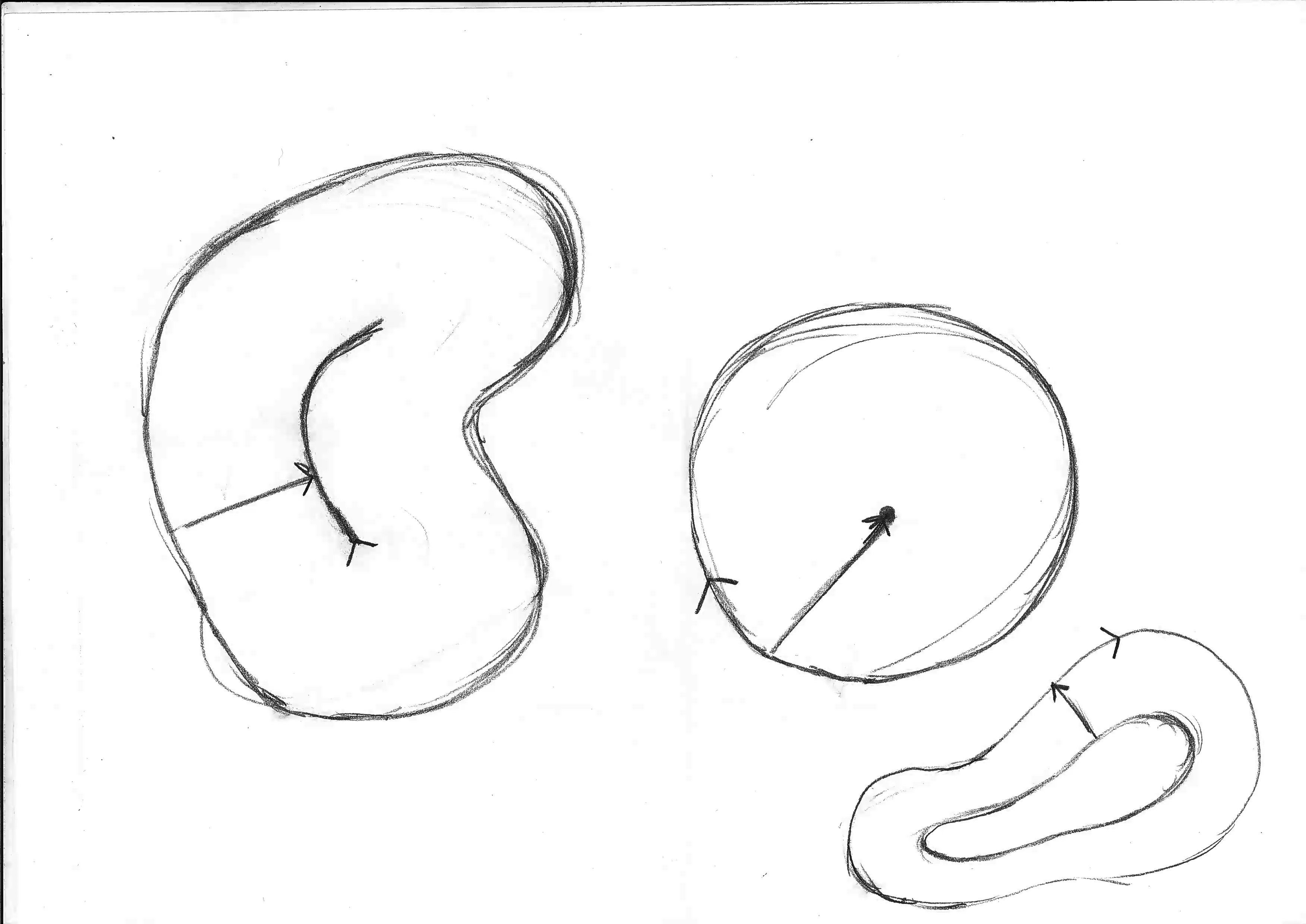 What shapes the work